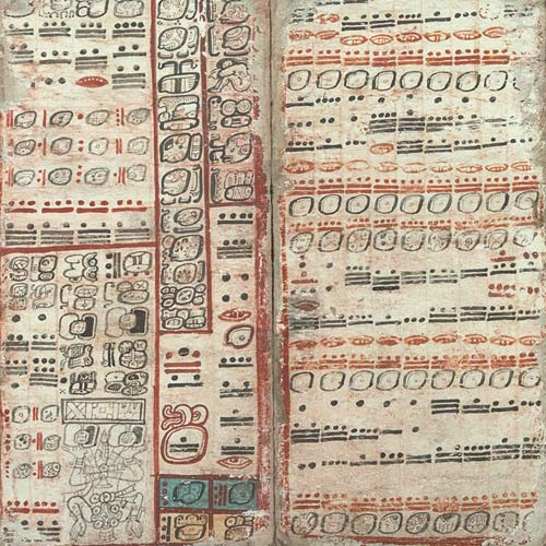 Codex 25