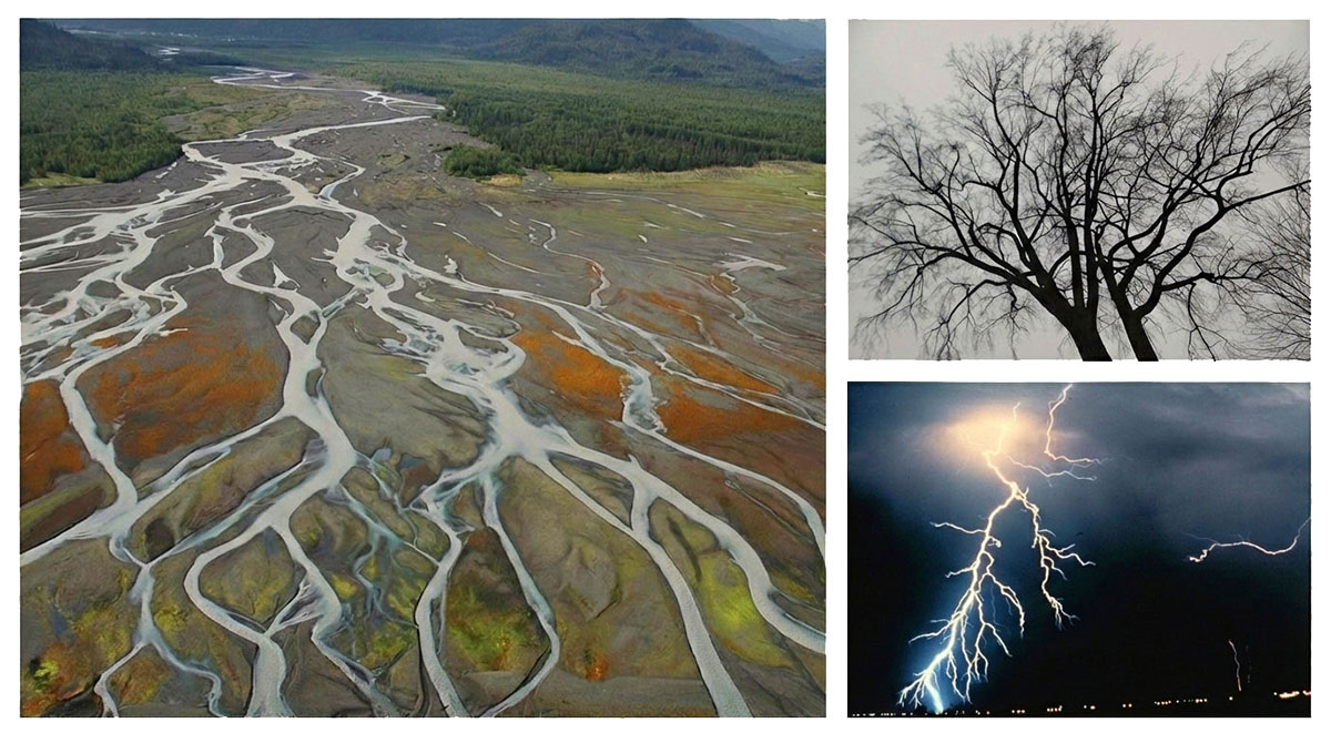 Fractal branching in nature showing a river delta, bare winter tree, and lightning strike