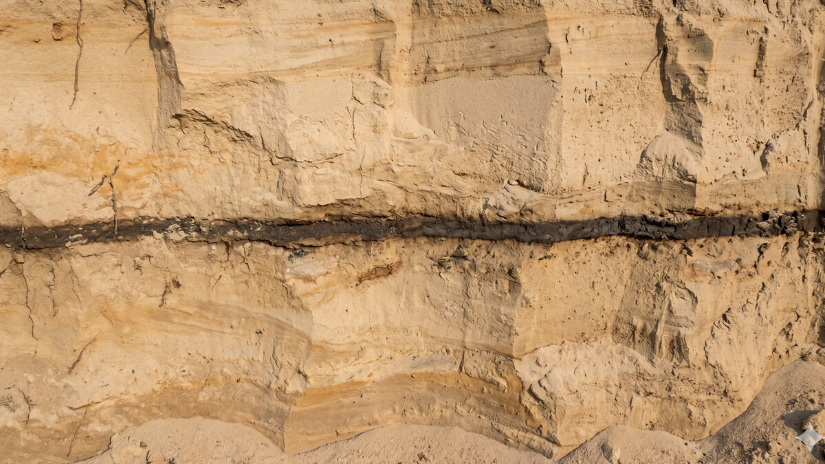 Pale desert sediment cross-section revealing a distinct dark black mat layer at the Younger Dryas boundary