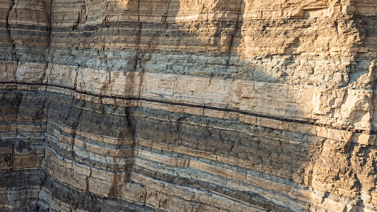 Ancient consolidated rock strata with a thin dark geological boundary seam visible in a canyon wall cross-section